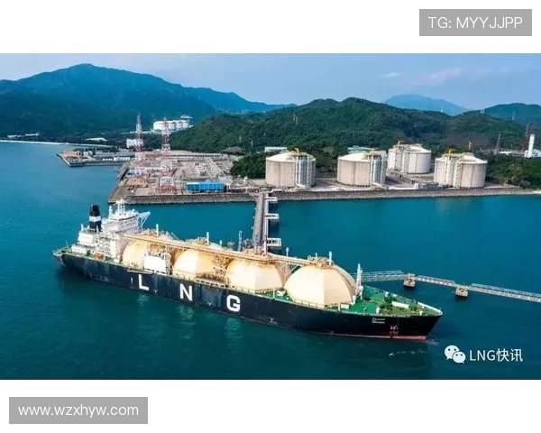 LNG战队崛起背后的秘密与挑战 赛场上的拼搏与未来展望