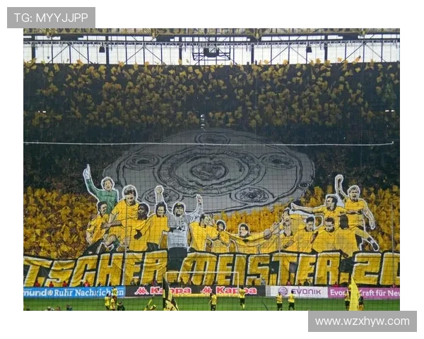 多特蒙德足球俱乐部的历史辉煌与未来展望