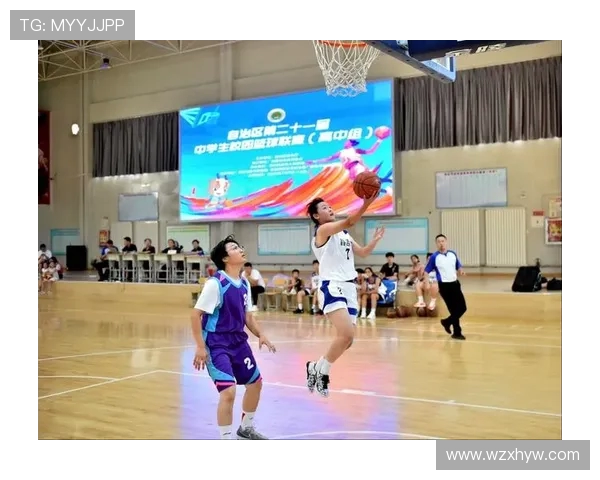 聚焦篮球巨星成长之路洞察赛场背后奋斗与荣耀故事全景呈现魅力篇