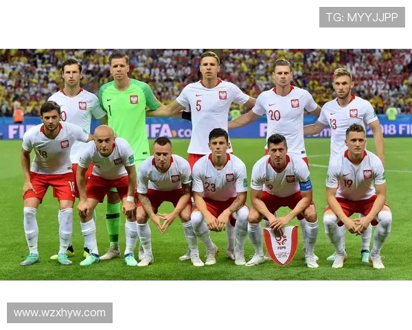 世预赛精彩对决丹麦与波兰的比分分析与赛后点评